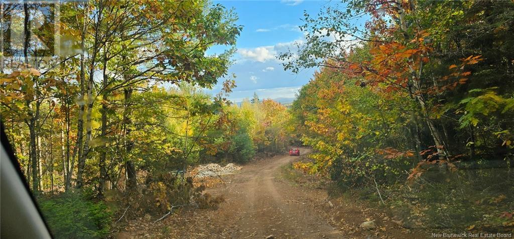 50 Lewis Road, Hoyt, New Brunswick  E5L 2E1 - Photo 7 - NB118348