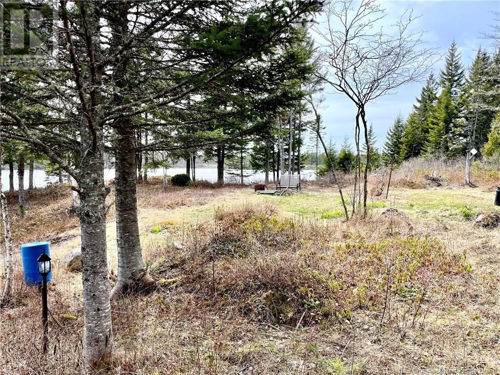 175 Stillwater Road, Musquash, New Brunswick  E5J 2K3 - Photo 46 - NB118219