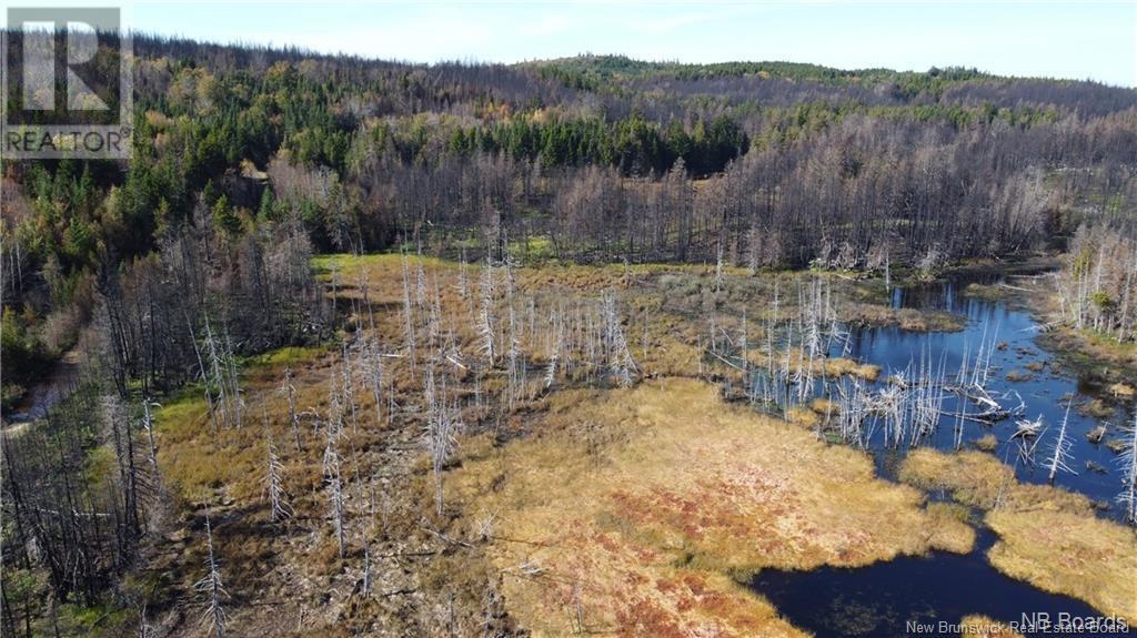 Route 127, Bocabec, New Brunswick  E5B 3H4 - Photo 3 - NB118576