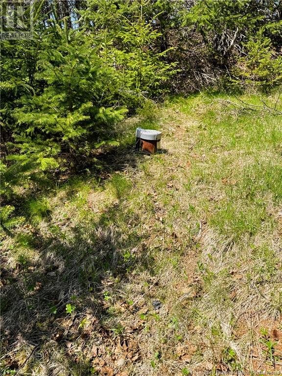 1212 Route 772, Cummings Cove, New Brunswick  E5V 1V3 - Photo 18 - NB118771