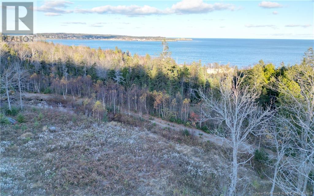 Lot 05-01 Wellington Drive, Grand Manan, New Brunswick  E5G 2M8 - Photo 2 - NB118924