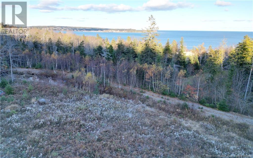 Lot 05-01 Wellington Drive, Grand Manan, New Brunswick  E5G 2M8 - Photo 3 - NB118924