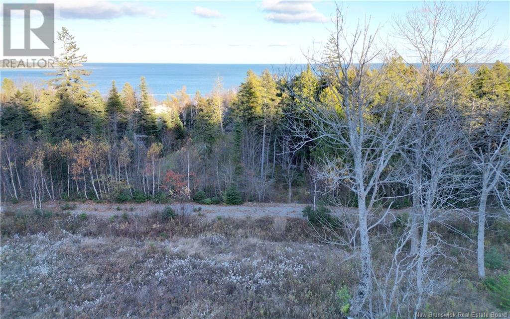 Lot 05-01 Wellington Drive, Grand Manan, New Brunswick  E5G 2M8 - Photo 4 - NB118924