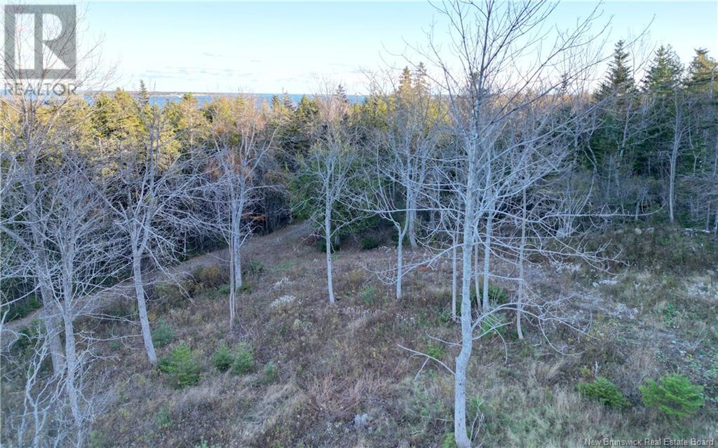 Lot 05-01 Wellington Drive, Grand Manan, New Brunswick  E5G 2M8 - Photo 5 - NB118924