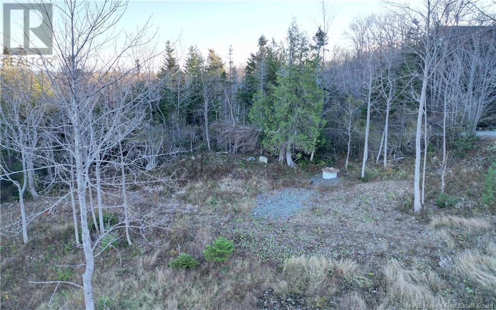 Lot 05-01 Wellington Drive, Grand Manan, New Brunswick  E5G 2M8 - Photo 6 - NB118924