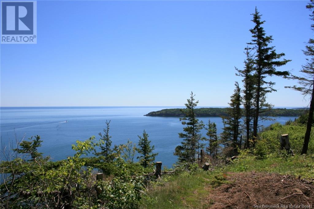 04-06a Seven Days Work Drive, Grand Manan, New Brunswick  E5G 2B4 - Photo 10 - NB118925