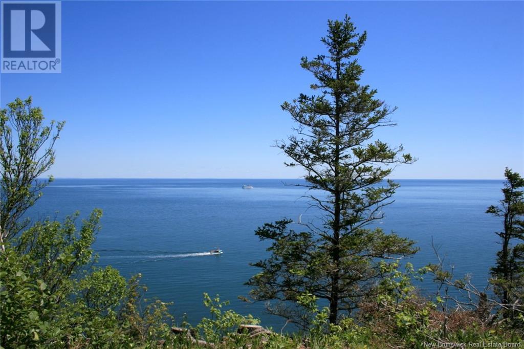 04-06a Seven Days Work Drive, Grand Manan, New Brunswick  E5G 2B4 - Photo 3 - NB118925