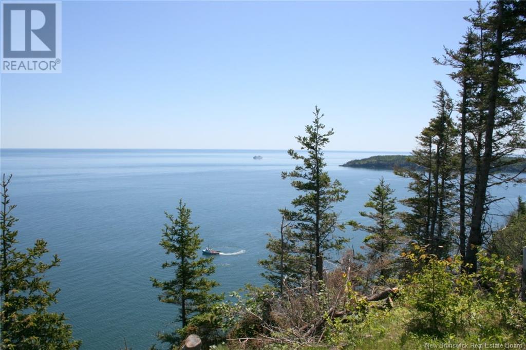 04-06a Seven Days Work Drive, Grand Manan, New Brunswick  E5G 2B4 - Photo 4 - NB118925