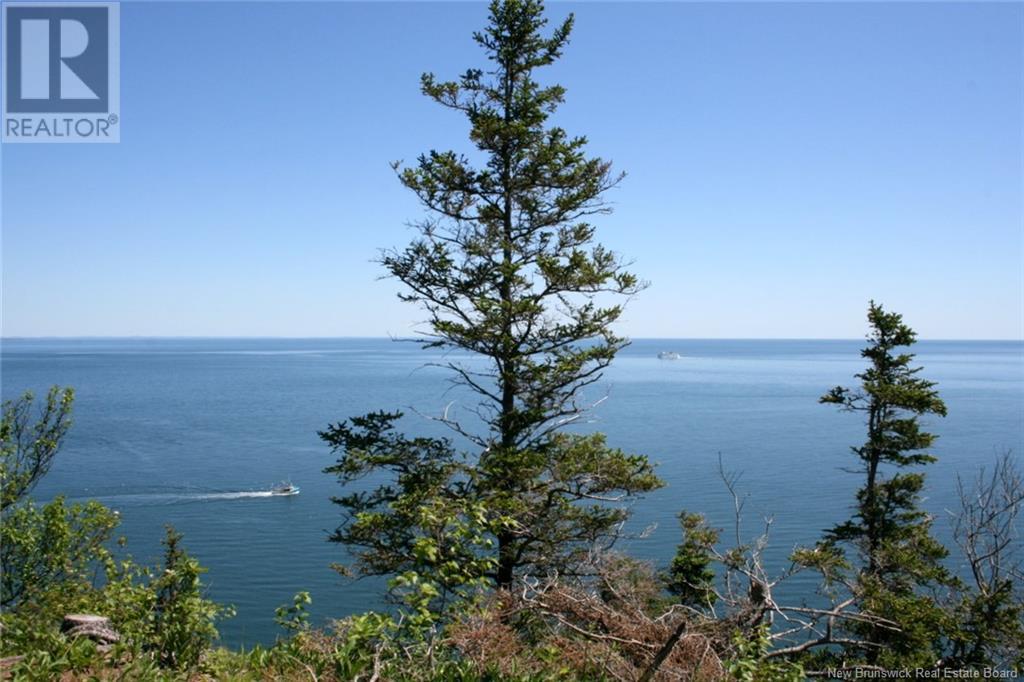 04-06a Seven Days Work Drive, Grand Manan, New Brunswick  E5G 2B4 - Photo 5 - NB118925