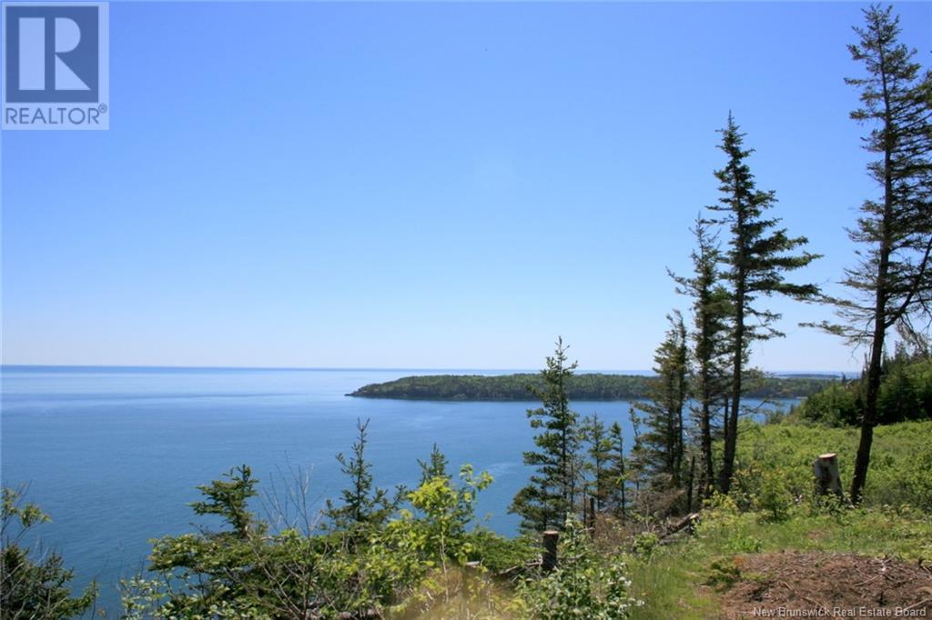 04-06a Seven Days Work Drive, Grand Manan, New Brunswick  E5G 2B4 - Photo 6 - NB118925
