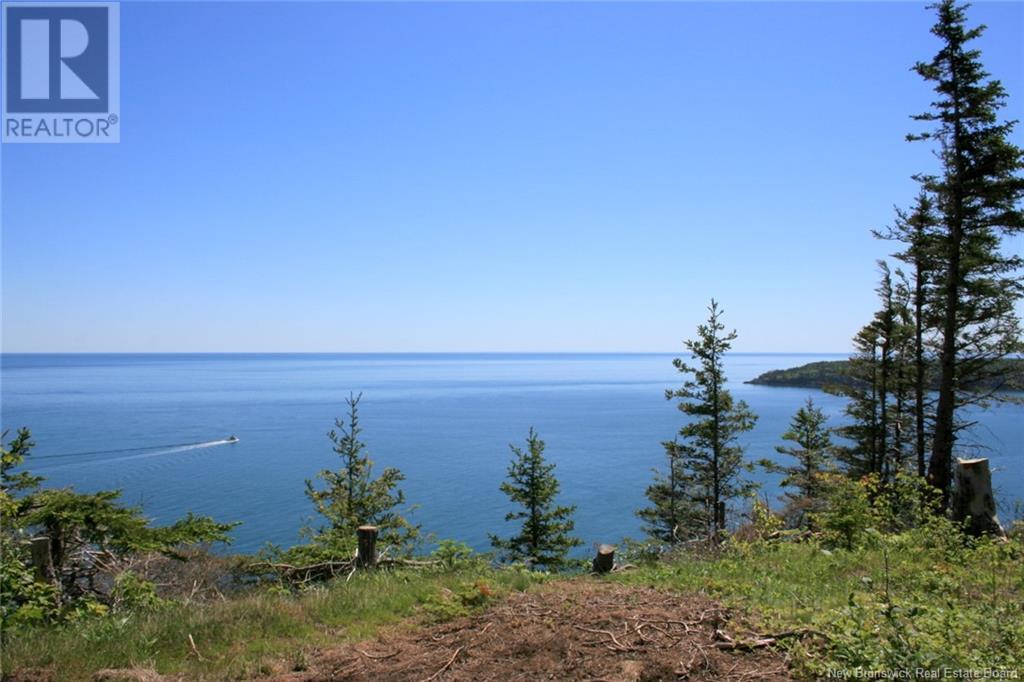 04-06a Seven Days Work Drive, Grand Manan, New Brunswick  E5G 2B4 - Photo 9 - NB118925