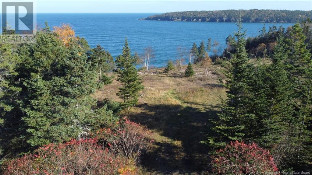 Lot 10-05 Golden Mile Drive, Grand Manan, New Brunswick  E5G 1N1 - Photo 12 - NB119141