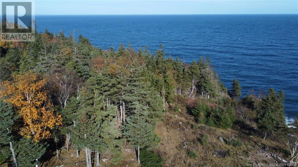 Lot 10-05 Golden Mile Drive, Grand Manan, New Brunswick  E5G 1N1 - Photo 14 - NB119141