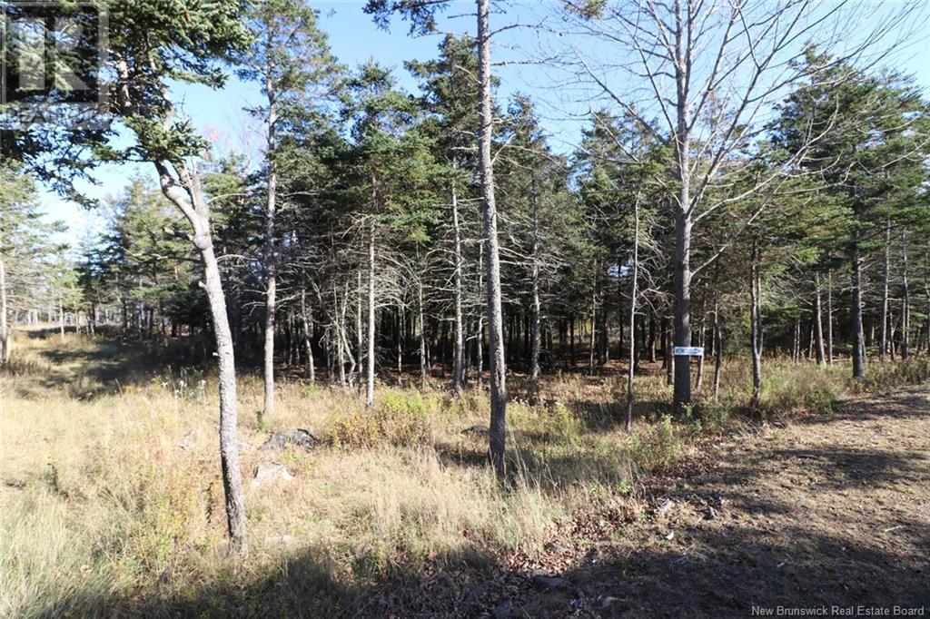Lot 10-05 Golden Mile Drive, Grand Manan, New Brunswick  E5G 1N1 - Photo 16 - NB119141