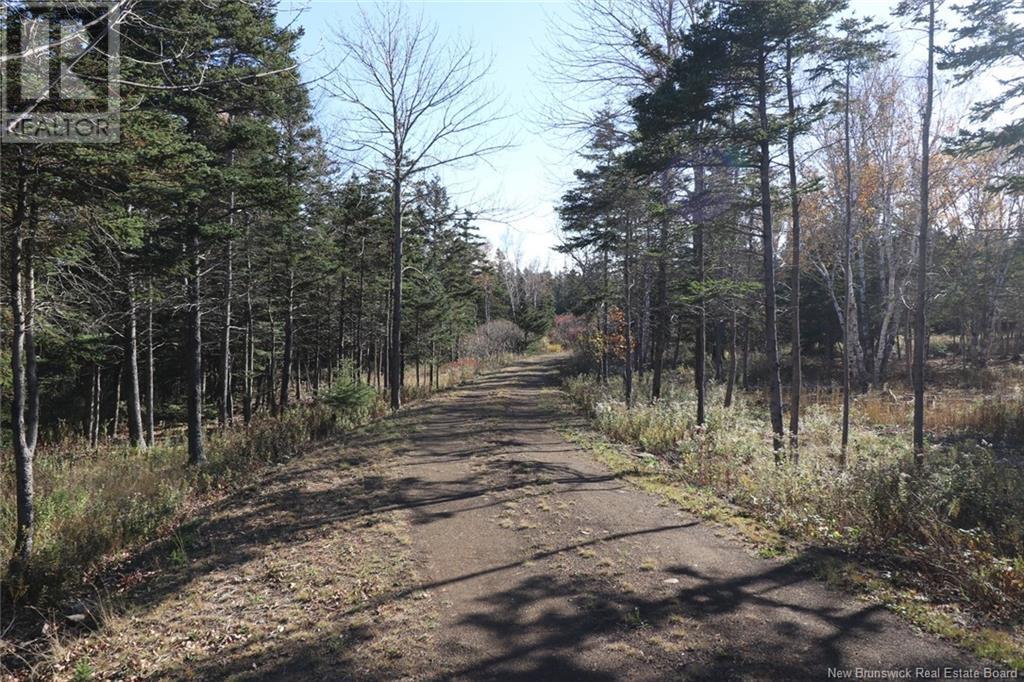 Lot 10-05 Golden Mile Drive, Grand Manan, New Brunswick  E5G 1N1 - Photo 18 - NB119141