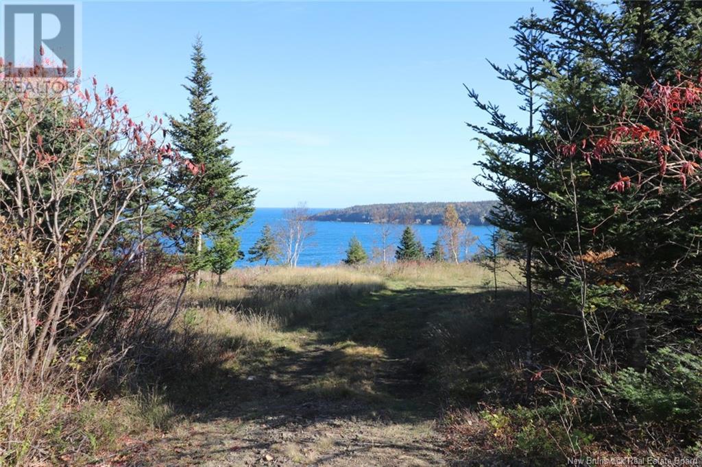 Lot 10-05 Golden Mile Drive, Grand Manan, New Brunswick  E5G 1N1 - Photo 20 - NB119141