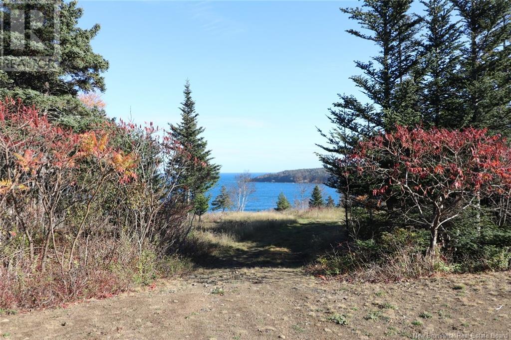 Lot 10-05 Golden Mile Drive, Grand Manan, New Brunswick  E5G 1N1 - Photo 21 - NB119141