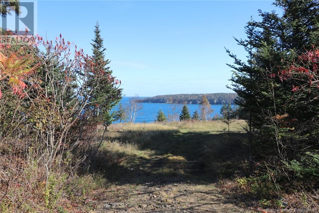 Lot 10-05 Golden Mile Drive, Grand Manan, New Brunswick  E5G 1N1 - Photo 22 - NB119141