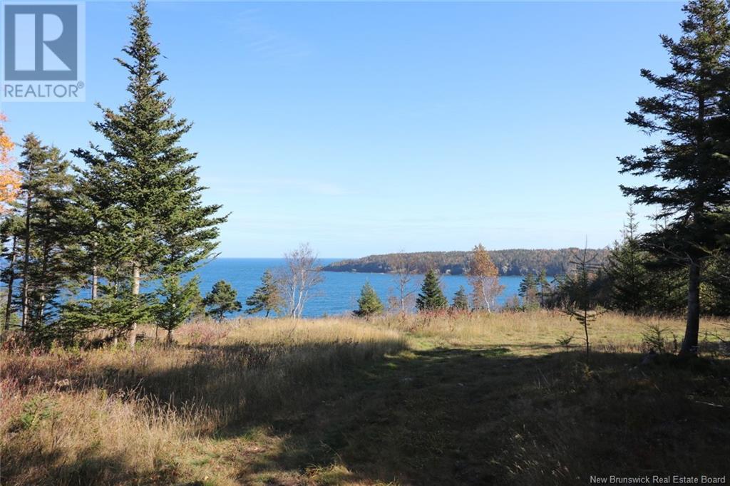 Lot 10-05 Golden Mile Drive, Grand Manan, New Brunswick  E5G 1N1 - Photo 26 - NB119141
