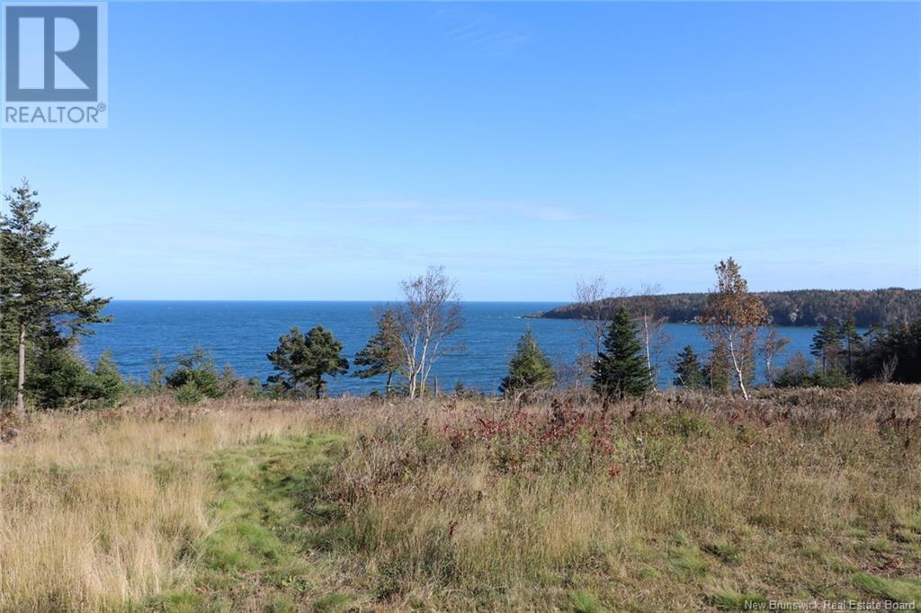 Lot 10-05 Golden Mile Drive, Grand Manan, New Brunswick  E5G 1N1 - Photo 27 - NB119141