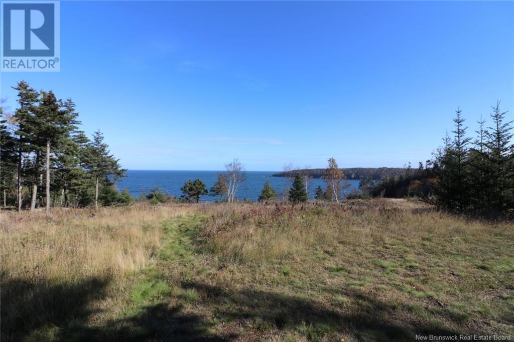 Lot 10-05 Golden Mile Drive, Grand Manan, New Brunswick  E5G 1N1 - Photo 28 - NB119141