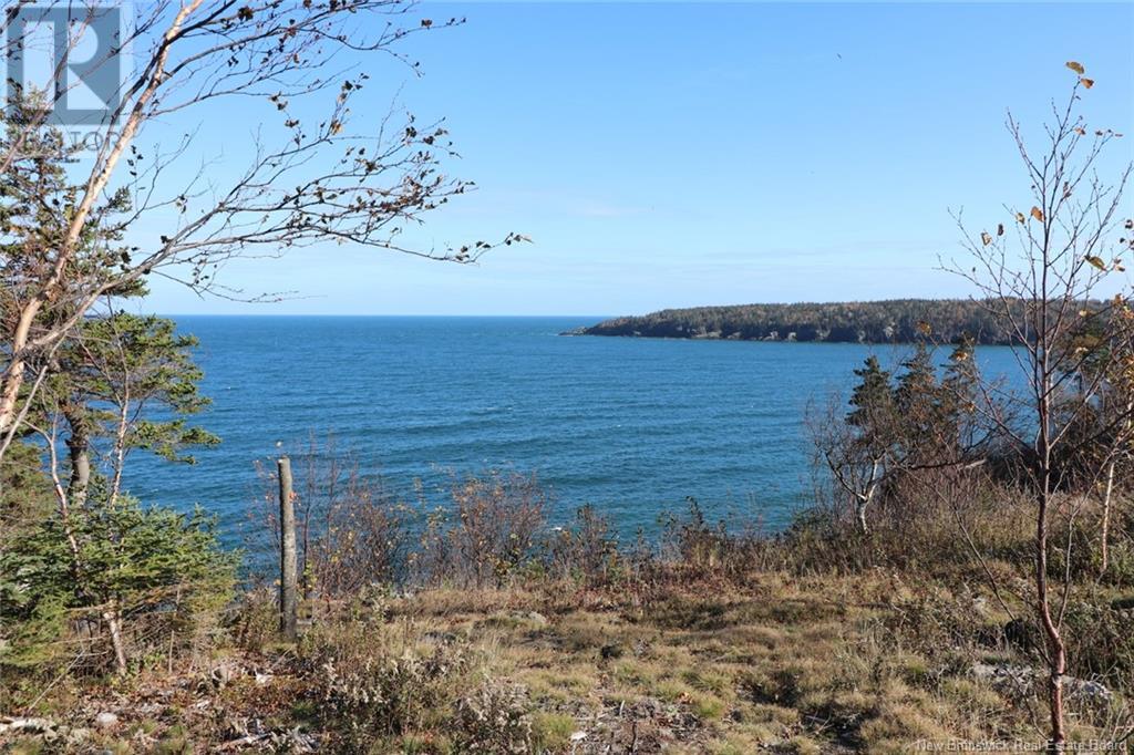 Lot 10-05 Golden Mile Drive, Grand Manan, New Brunswick  E5G 1N1 - Photo 29 - NB119141