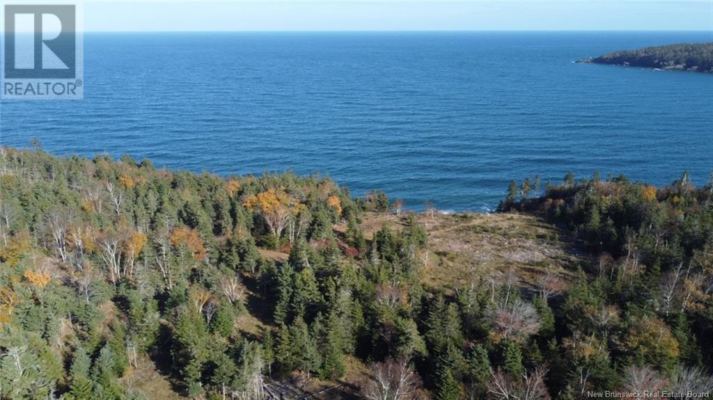 Lot 10-05 Golden Mile Drive, Grand Manan, New Brunswick  E5G 1N1 - Photo 8 - NB119141