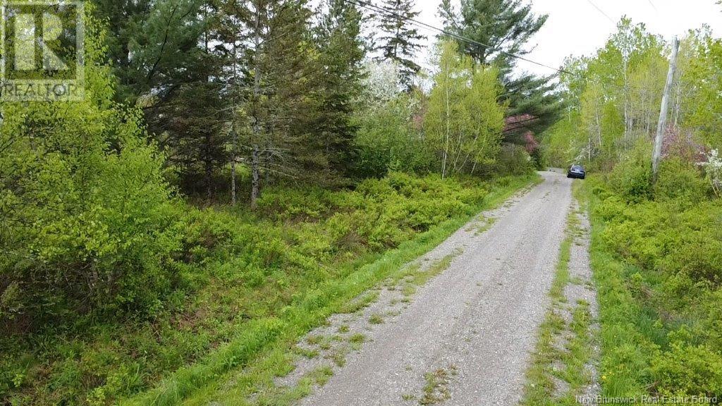 196 Ledge Road, Dufferin, New Brunswick  E3L 3P2 - Photo 10 - NB119227