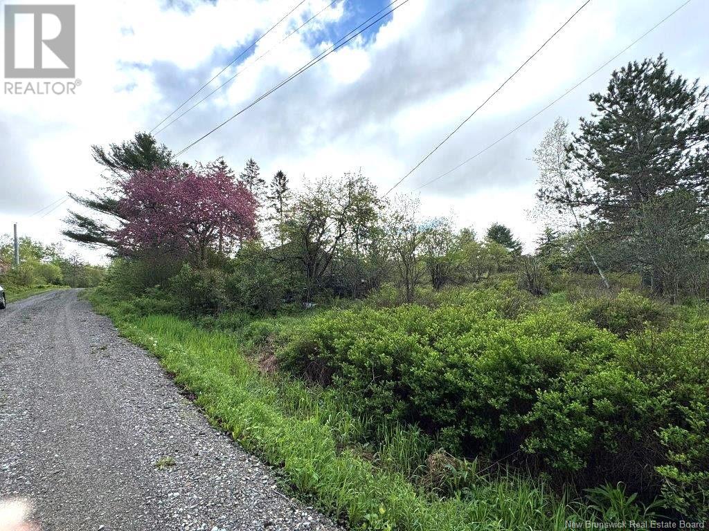 196 Ledge Road, Dufferin, New Brunswick  E3L 3P2 - Photo 11 - NB119227