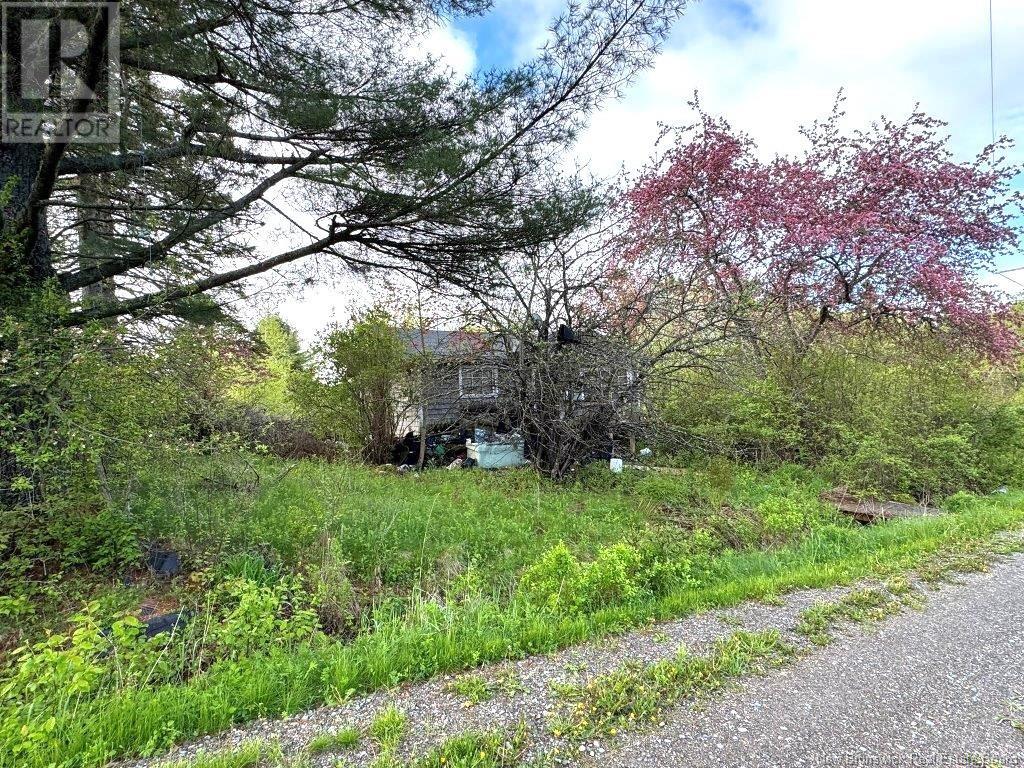 196 Ledge Road, Dufferin, New Brunswick  E3L 3P2 - Photo 12 - NB119227