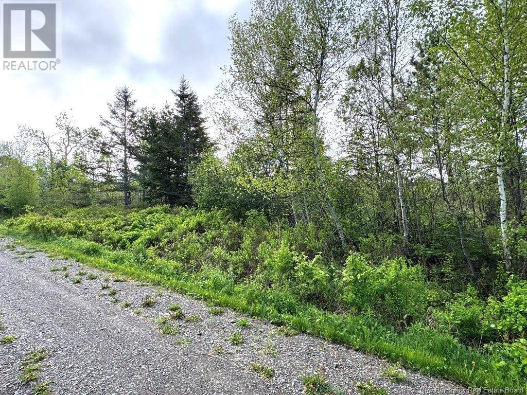 196 Ledge Road, Dufferin, New Brunswick  E3L 3P2 - Photo 13 - NB119227
