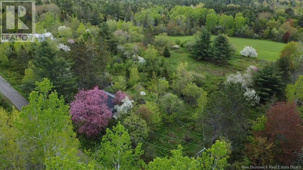 196 Ledge Road, Dufferin, New Brunswick  E3L 3P2 - Photo 2 - NB119227