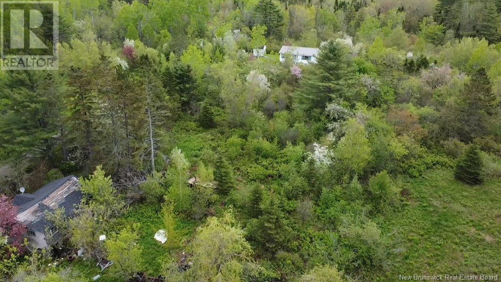 196 Ledge Road, Dufferin, New Brunswick  E3L 3P2 - Photo 5 - NB119227