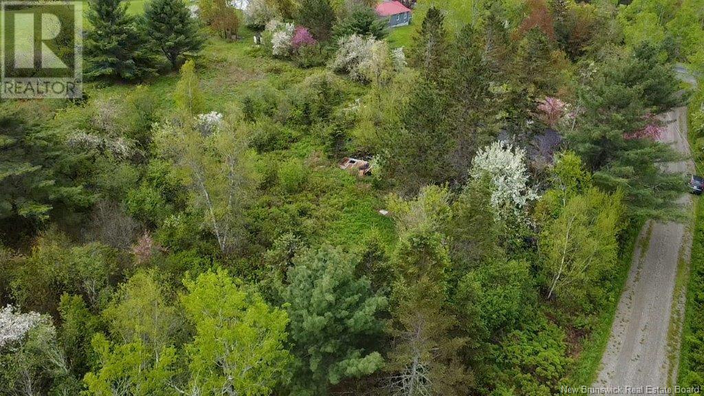 196 Ledge Road, Dufferin, New Brunswick  E3L 3P2 - Photo 8 - NB119227