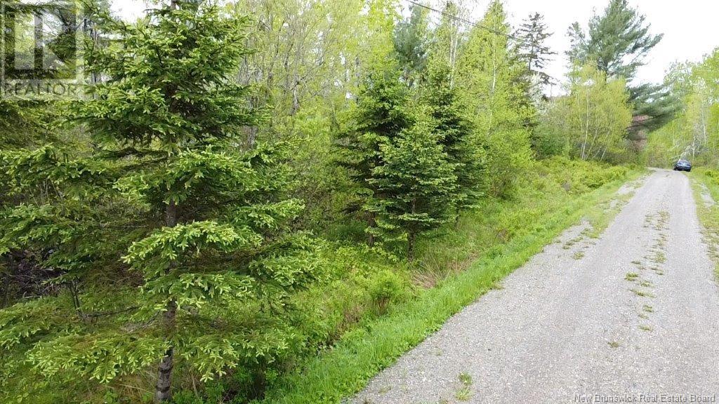 196 Ledge Road, Dufferin, New Brunswick  E3L 3P2 - Photo 9 - NB119227