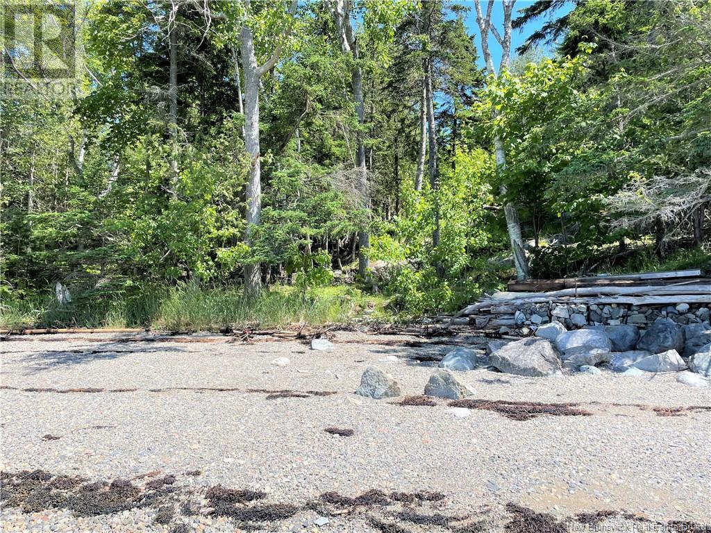 0 Currie Cove Road, Bayside, New Brunswick  E5B 0C8 - Photo 21 - NB119129
