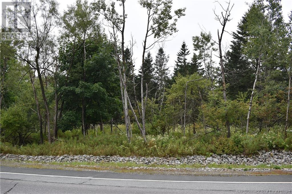 Development Lot Mowat Drive, Saint Andrews, New Brunswick  E5B 2P2 - Photo 2 - NB119457