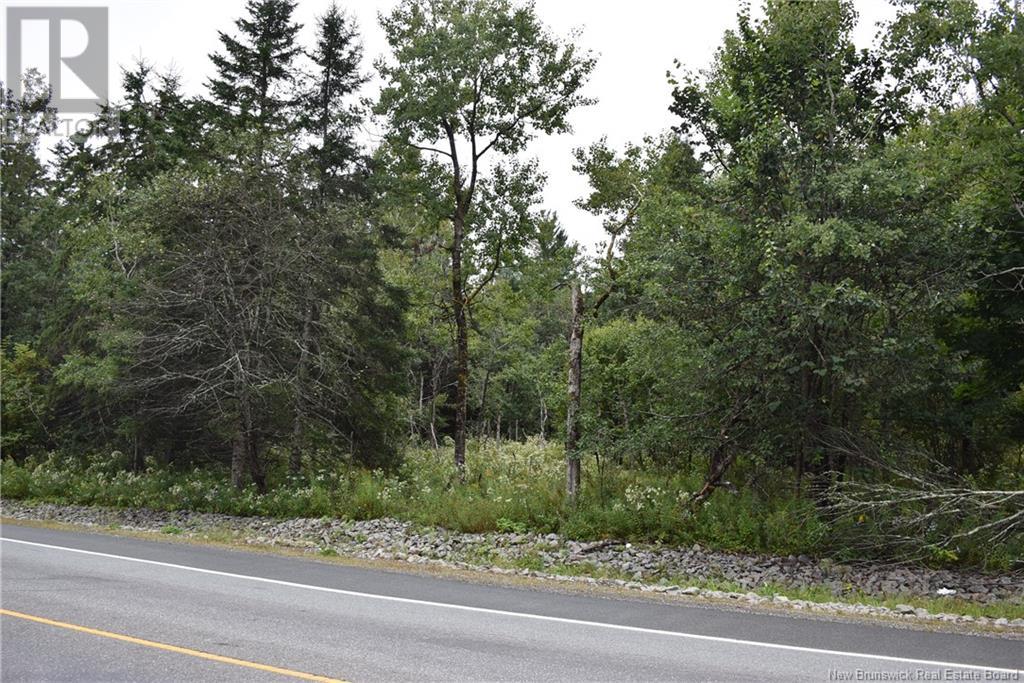 Development Lot Mowat Drive, Saint Andrews, New Brunswick  E5B 2P2 - Photo 5 - NB119457