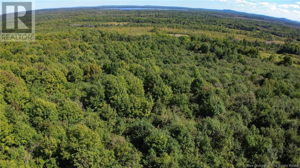 Lot 09-02 Trueman Graham Road, Harvey, New Brunswick  E6K 1B5 - Photo 15 - NB119499