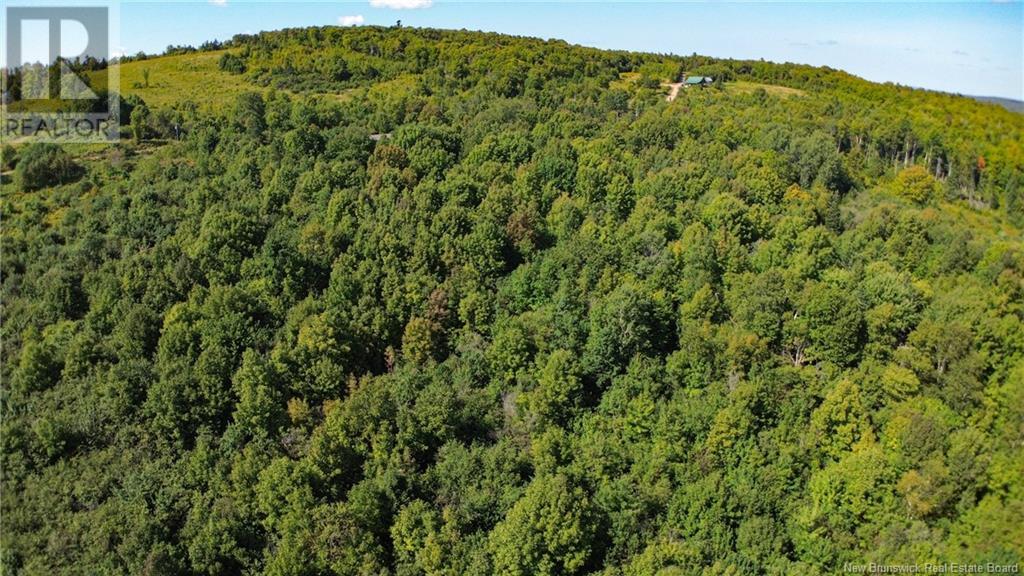 Lot 09-02 Trueman Graham Road, Harvey, New Brunswick  E6K 1B5 - Photo 16 - NB119499