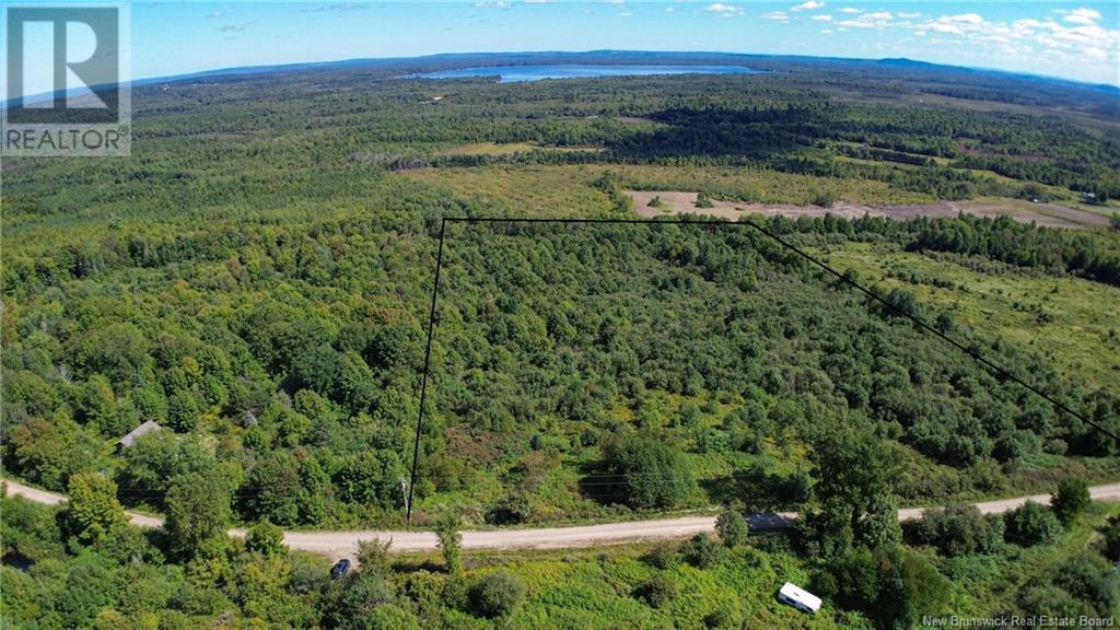 Lot 09-02 Trueman Graham Road, Harvey, New Brunswick  E6K 1B5 - Photo 4 - NB119499