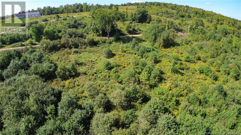 Lot 09-02 Trueman Graham Road, Harvey, New Brunswick  E6K 1B5 - Photo 8 - NB119499
