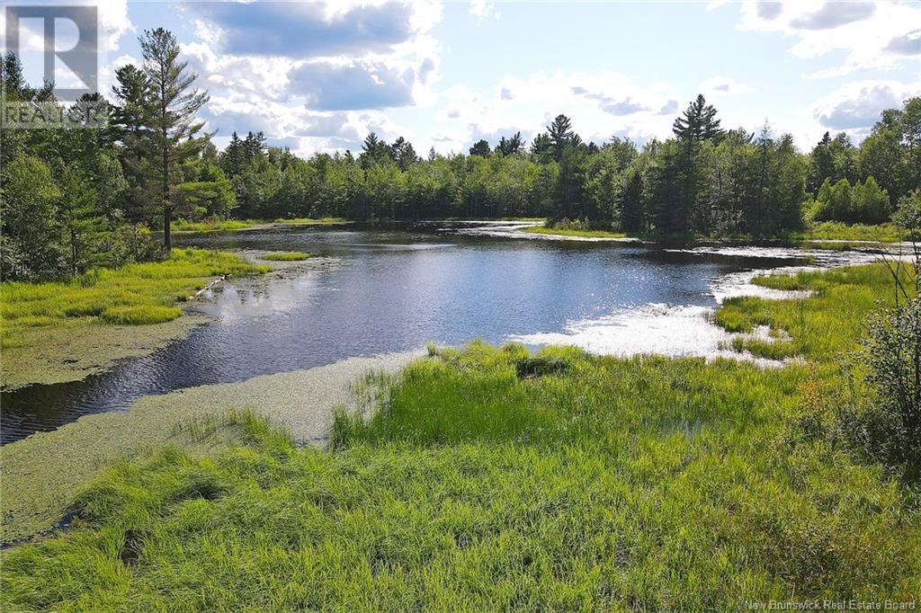 0 Route 101, Tracyville, New Brunswick  E5L 1P2 - Photo 46 - NB119625