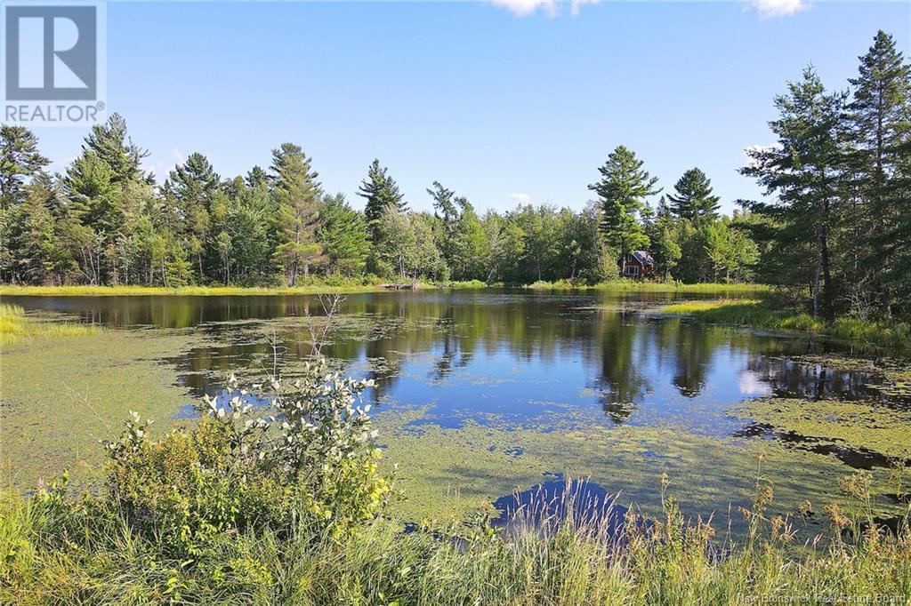 0 Route 101, Tracyville, New Brunswick  E5L 1P2 - Photo 48 - NB119625