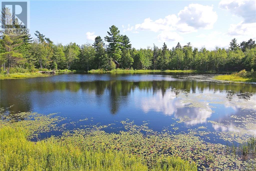 0 Route 101, Tracyville, New Brunswick  E5L 1P2 - Photo 49 - NB119625