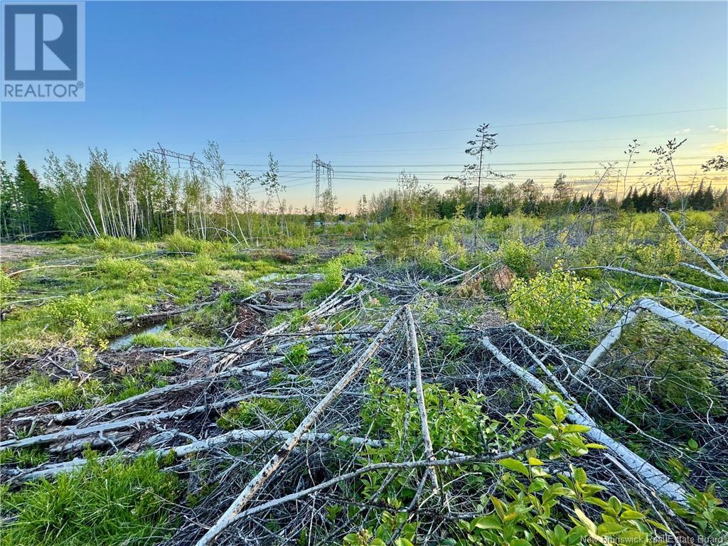Lot Rooth Road, Tracy, New Brunswick  E5L 1K2 - Photo 4 - NB119503