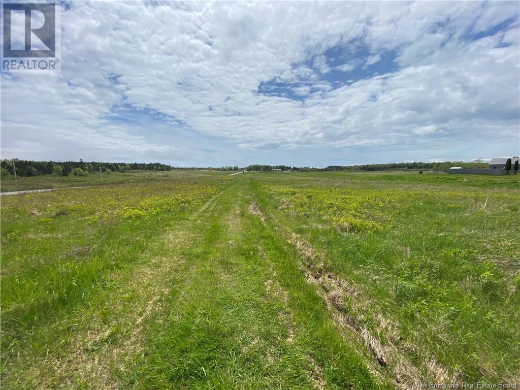 Na Farm Road, Blacks Harbour, New Brunswick  E5H 1A1 - Photo 5 - NB119692