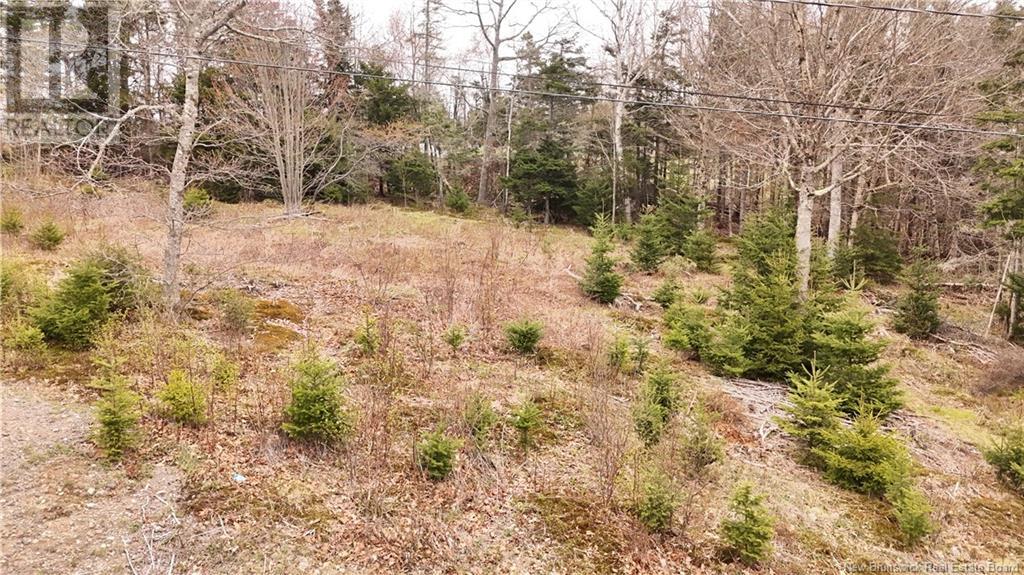 Lot 4 Harbourview Heights, St George, New Brunswick  E5C 3K3 - Photo 2 - NB119028
