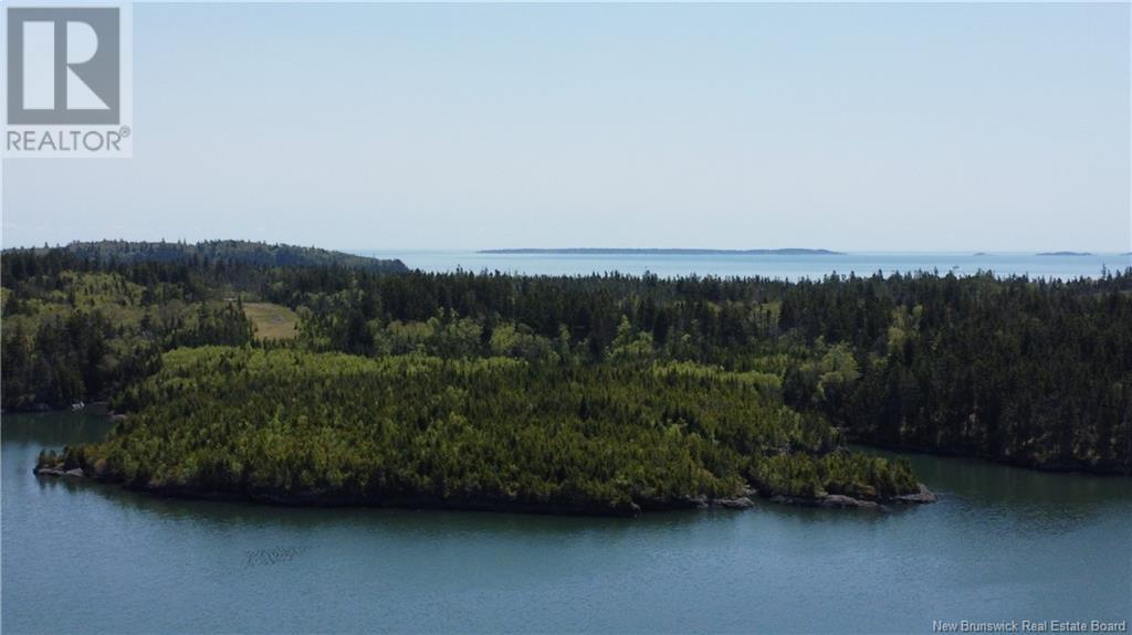 Lot Wellington Road, Blacks Harbour, New Brunswick  E5H 1C7 - Photo 9 - NB119924