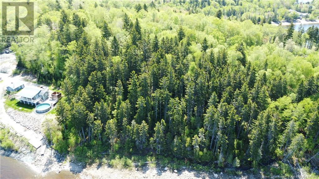 Lot Lydia's Ledge Road, Utopia, New Brunswick  E5C 3B1 - Photo 19 - NB119933
